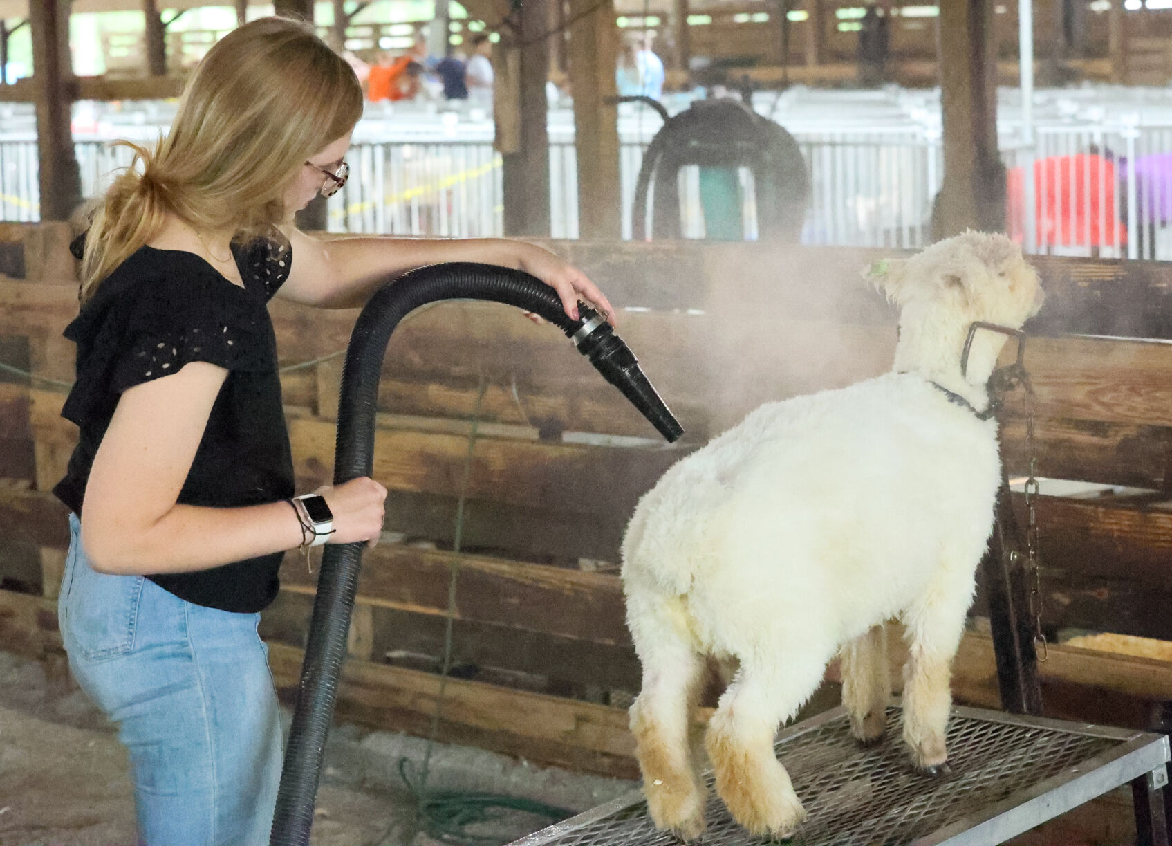 Food and fun at the Lake County Fair.